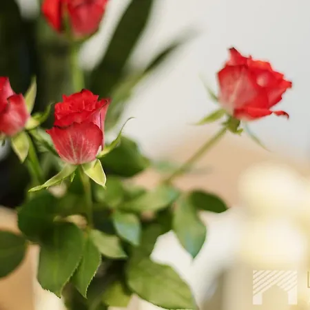 Apartman Na Radiostacji By Lookap Łódź