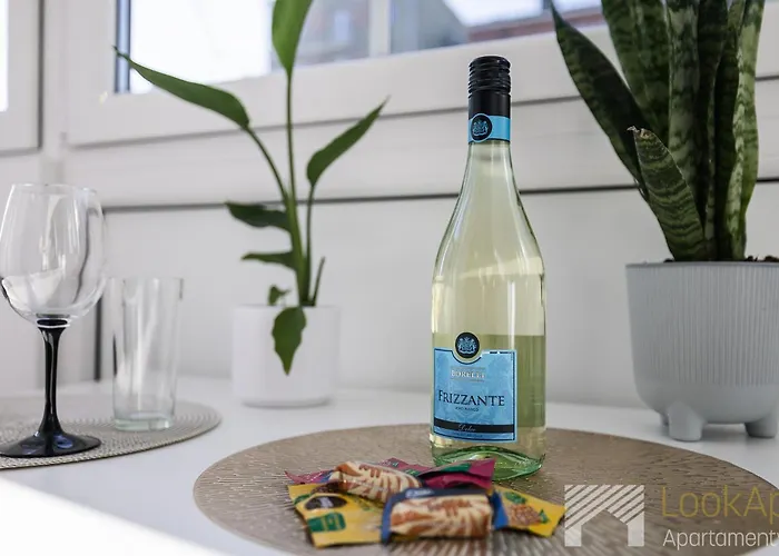 Na Radiostacji By Lookap 公寓 罗兹