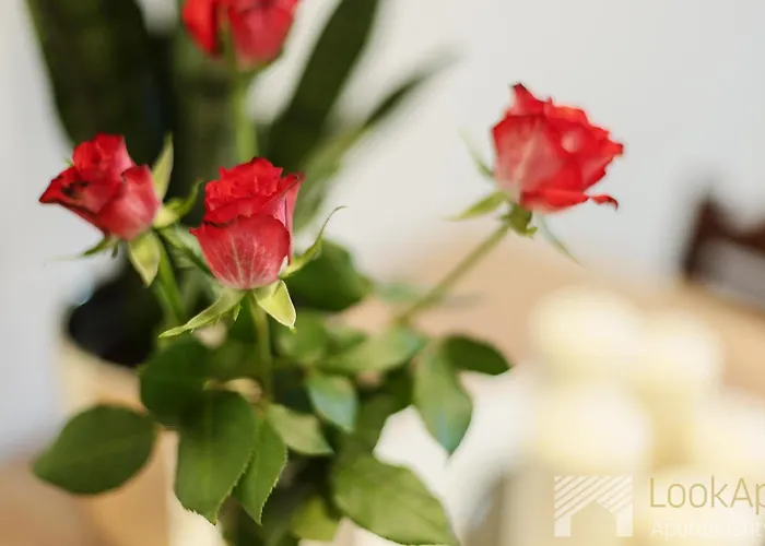 公寓 Na Radiostacji By Lookap 罗兹